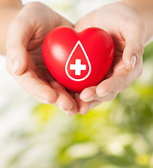 Image showing female hands holding red heart with donor sign