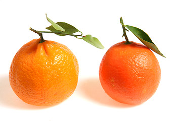 Image showing Mandarin comparison