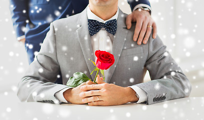 Image showing close up of male gay couple with wedding rings on