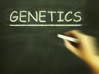 Image showing Genetics Chalk Means Genes DNA And Heredity