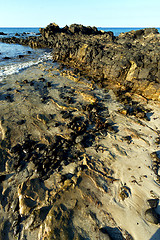 Image showing     madagascar    andilana beach   isle  sky and rock 