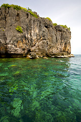 Image showing asia the  kho phangan isles bay   rocks    south china green sea