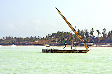 Image showing beach   in zanzibar seaweed  palm     sand isle  sky  and sailin