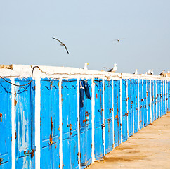 Image showing in africa morocco  old harbor wood  bird