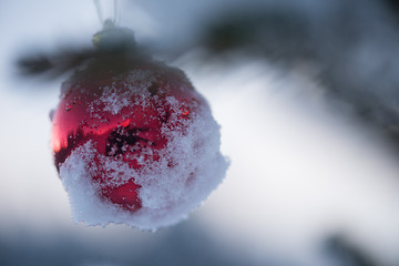 Image showing christmas balls on tree