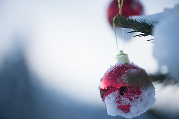 Image showing christmas balls on tree