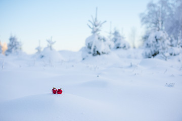 Image showing christmas ball in snow