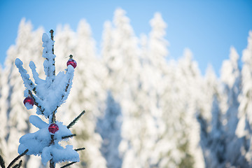 Image showing christmas balls on tree