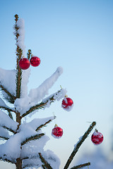 Image showing christmas balls on tree