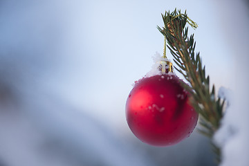 Image showing christmas balls on tree