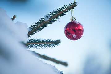 Image showing christmas balls on tree