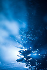 Image showing tree covered with fresh snow at winter night