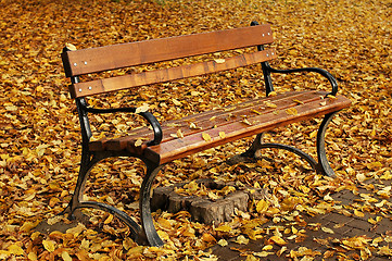 Image showing bench in autumn