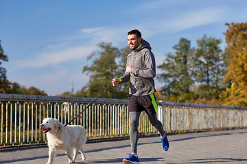 Image showing happy man with labrador dog running outdoors