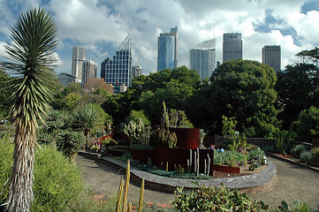 Image showing Sydney Gardens