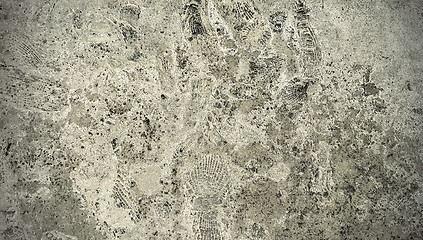 Image showing Stone texture with fossils