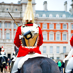 Image showing in london england horse and cavalry for    the queen