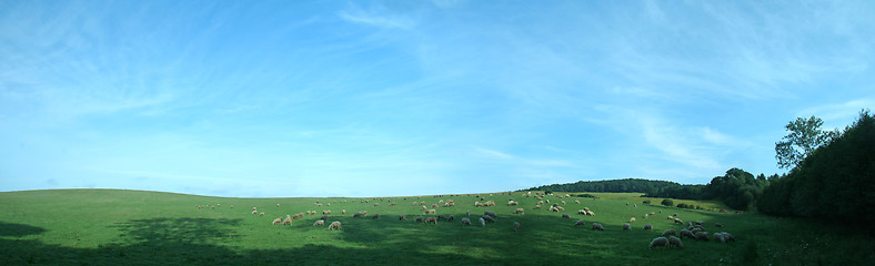 Image showing nature panorama