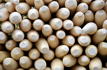 Image showing Indian white radishes