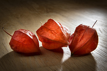 Image showing Physalis on table