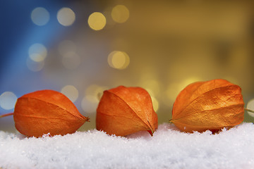 Image showing physalis with lights