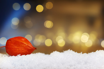 Image showing physalis with lights