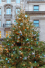 Image showing Christmas Tree