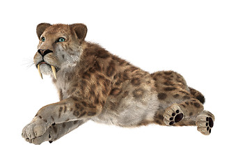 Image showing Big Cat Sabertooth