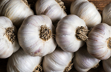 Image showing Bunch of garlic