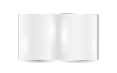 Image showing open book with blank pages