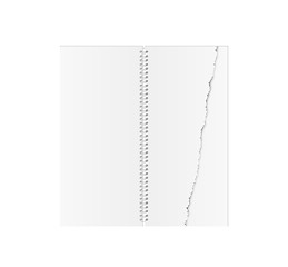 Image showing white blank spiral paper book with torn paper