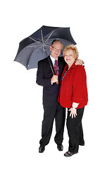 Image showing Senior couple standing with umbrella.