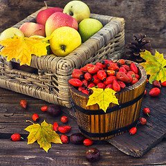 Image showing Still life with autumn apples