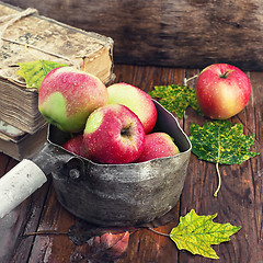 Image showing Still life with autumn apples