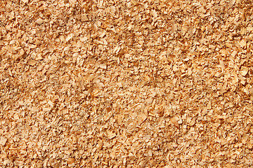 Image showing Fine sawdust as a texture