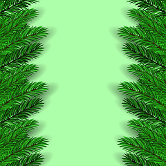 Image showing Green Fir Branches
