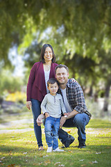 Image showing Mixed Race Young Family Portrait Outdoors