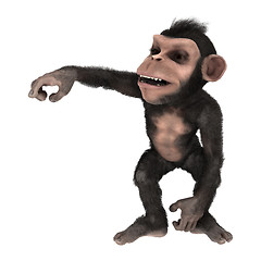 Image showing Little Chimp Monkey on White