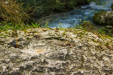 Image showing Stormy mountain river