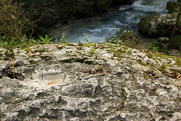 Image showing Stormy mountain river