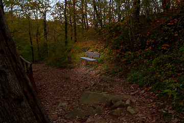 Image showing Brown wooden bench