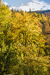 Image showing Natural landscape of Abkhazia 