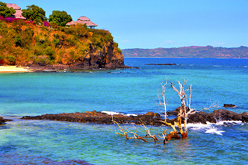 Image showing andilana beach seaweed  indian 