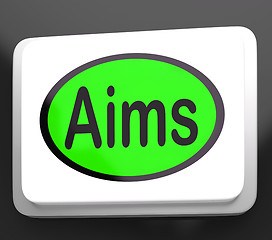 Image showing Aims Button Shows Targeting Purpose And Aspiration