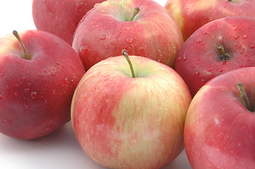Image showing mcintosh apples horizontal