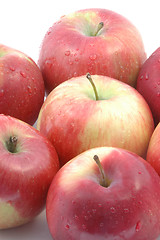 Image showing mcintosh apples vertical group