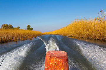 Image showing Walk along the river