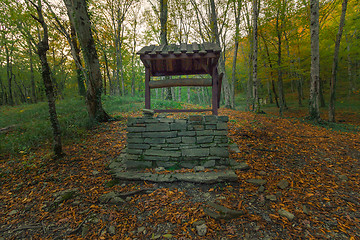 Image showing Abandoned timber well