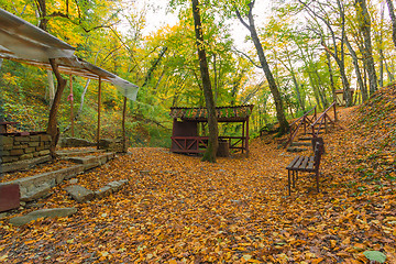 Image showing Forest park for tourists