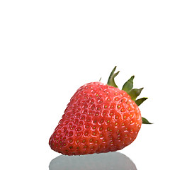 Image showing Strawberry